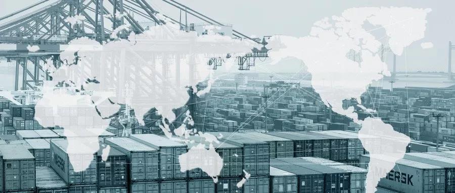 1577686425529600.jpg 2.jpg